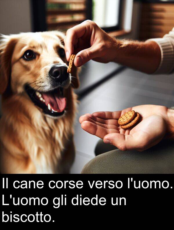 cane: Il cane corse verso l'uomo. L'uomo gli diede un biscotto.