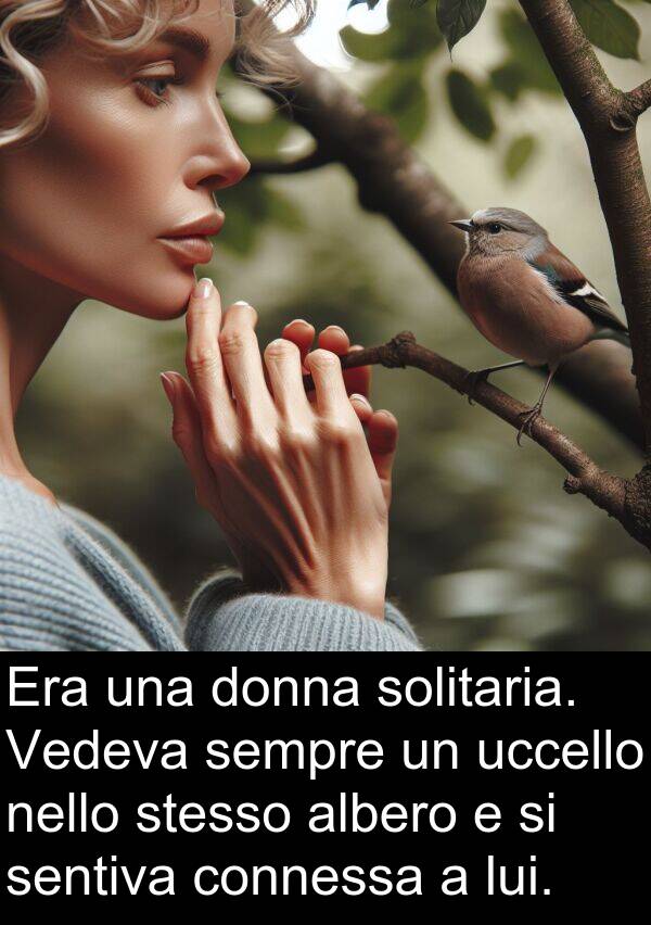 uccello: Era una donna solitaria. Vedeva sempre un uccello nello stesso albero e si sentiva connessa a lui.