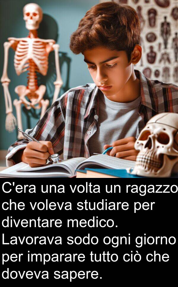 ragazzo: C'era una volta un ragazzo che voleva studiare per diventare medico. Lavorava sodo ogni giorno per imparare tutto ciò che doveva sapere.