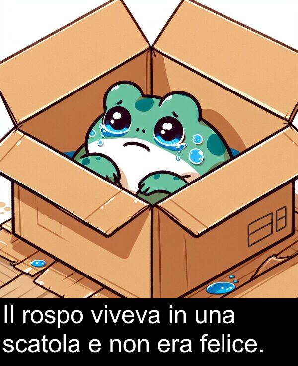 non: Il rospo viveva in una scatola e non era felice.