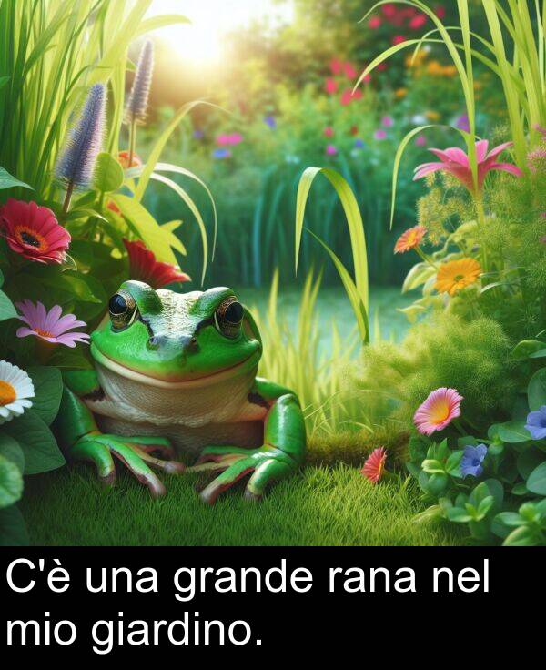 nel: C'è una grande rana nel mio giardino.