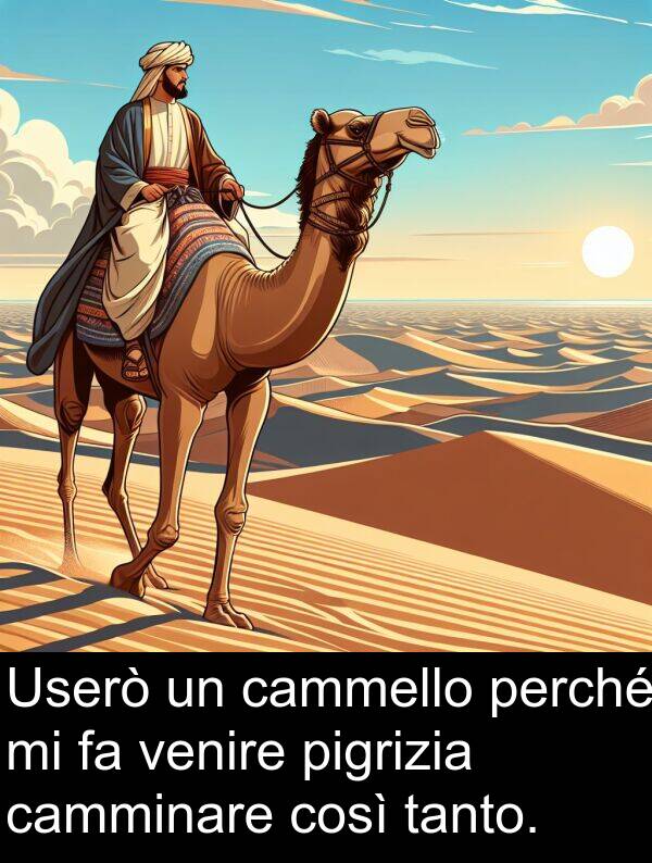 camminare: Userò un cammello perché mi fa venire pigrizia camminare così tanto.