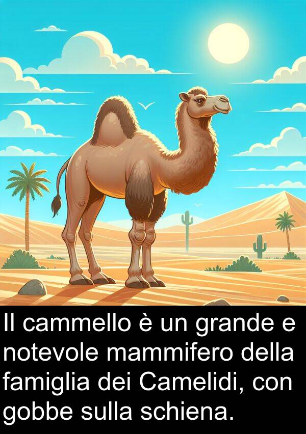 notevole: Il cammello è un grande e notevole mammifero della famiglia dei Camelidi, con gobbe sulla schiena.