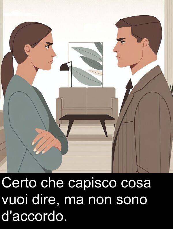 cosa: Certo che capisco cosa vuoi dire, ma non sono d'accordo.