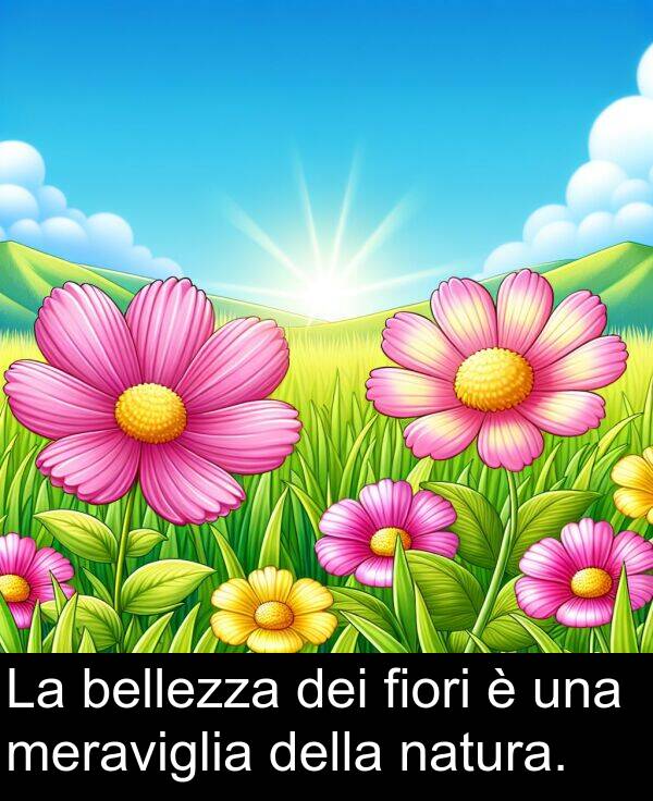 bellezza: La bellezza dei fiori è una meraviglia della natura.