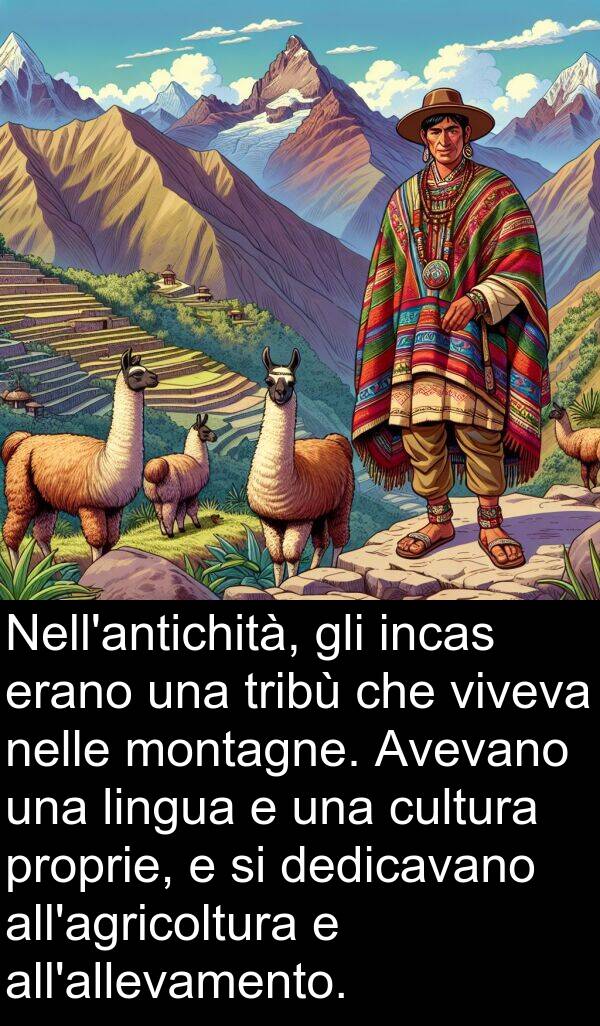 tribù: Nell'antichità, gli incas erano una tribù che viveva nelle montagne. Avevano una lingua e una cultura proprie, e si dedicavano all'agricoltura e all'allevamento.