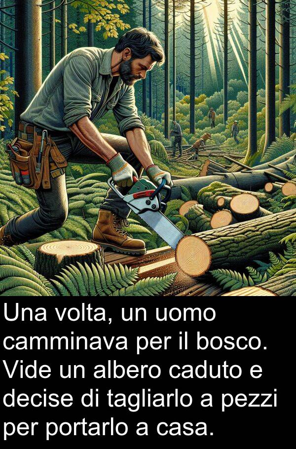 tagliarlo: Una volta, un uomo camminava per il bosco. Vide un albero caduto e decise di tagliarlo a pezzi per portarlo a casa.