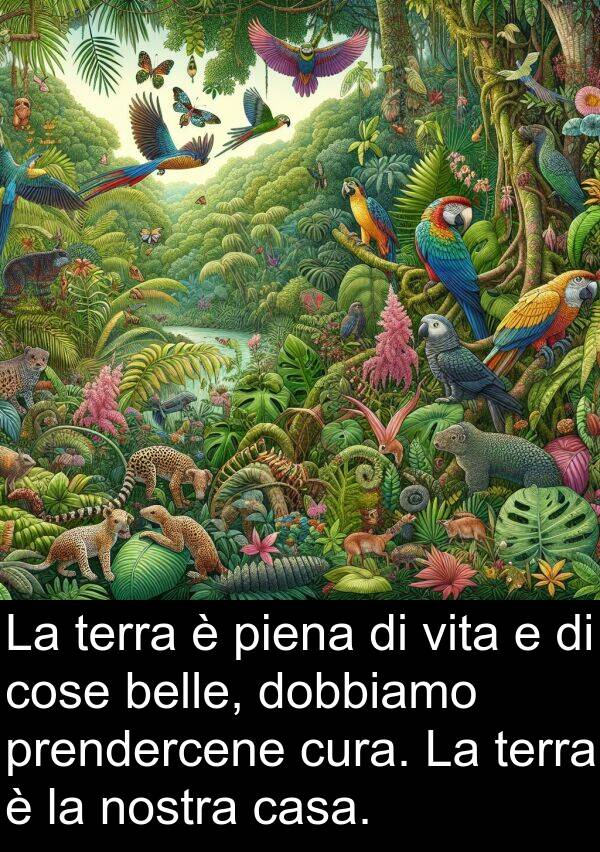 cose: La terra è piena di vita e di cose belle, dobbiamo prendercene cura. La terra è la nostra casa.