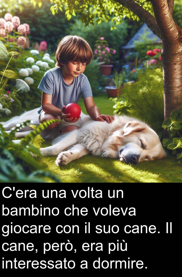 volta: C'era una volta un bambino che voleva giocare con il suo cane. Il cane, però, era più interessato a dormire.