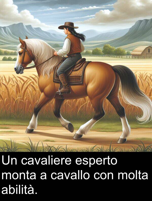 esperto: Un cavaliere esperto monta a cavallo con molta abilità.