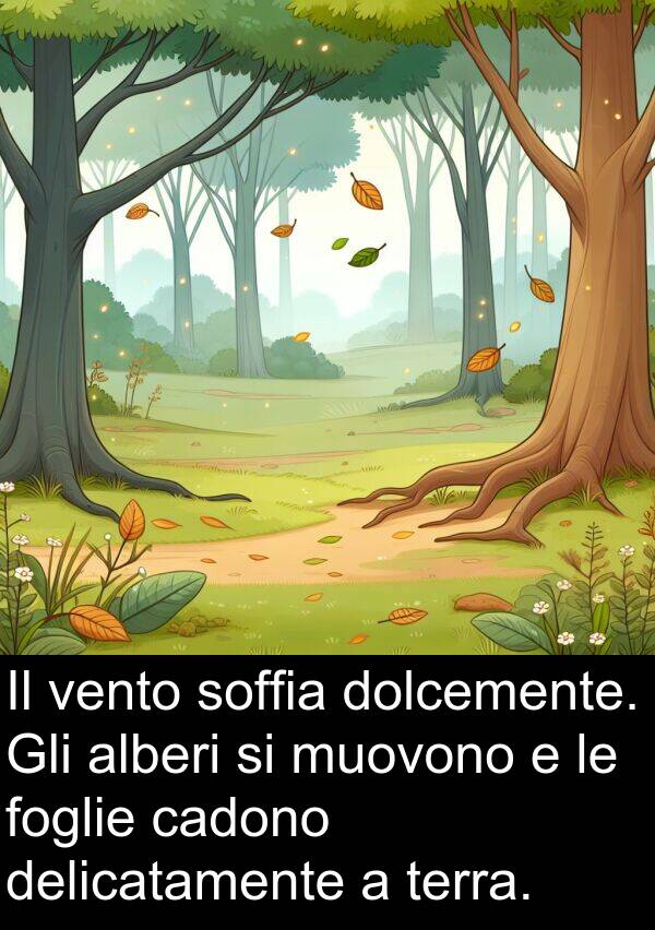 cadono: Il vento soffia dolcemente. Gli alberi si muovono e le foglie cadono delicatamente a terra.