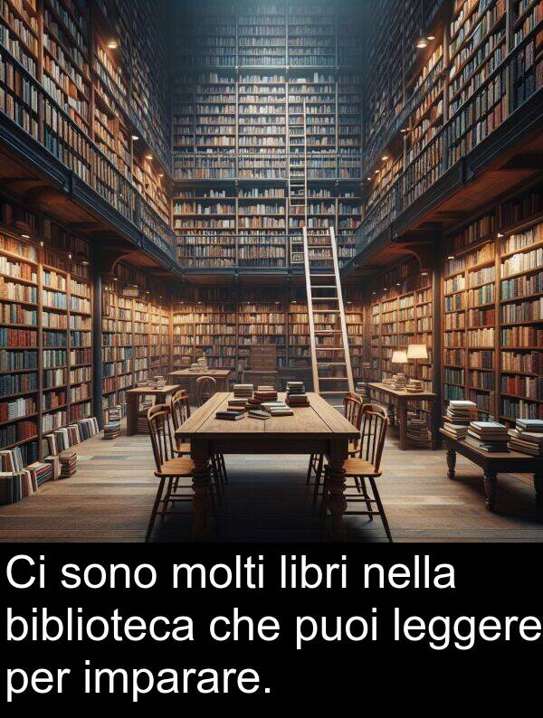 puoi: Ci sono molti libri nella biblioteca che puoi leggere per imparare.