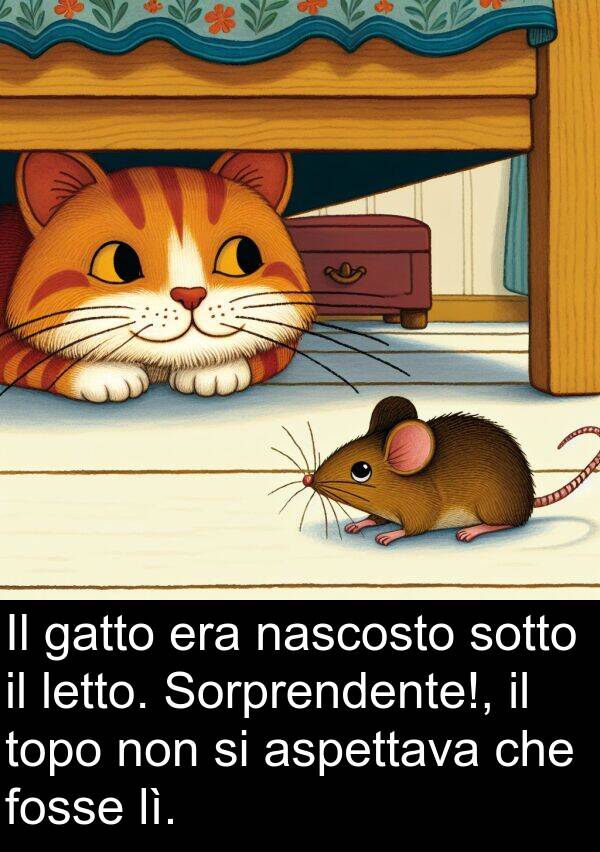gatto: Il gatto era nascosto sotto il letto. Sorprendente!, il topo non si aspettava che fosse lì.