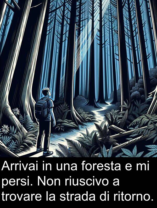 strada: Arrivai in una foresta e mi persi. Non riuscivo a trovare la strada di ritorno.