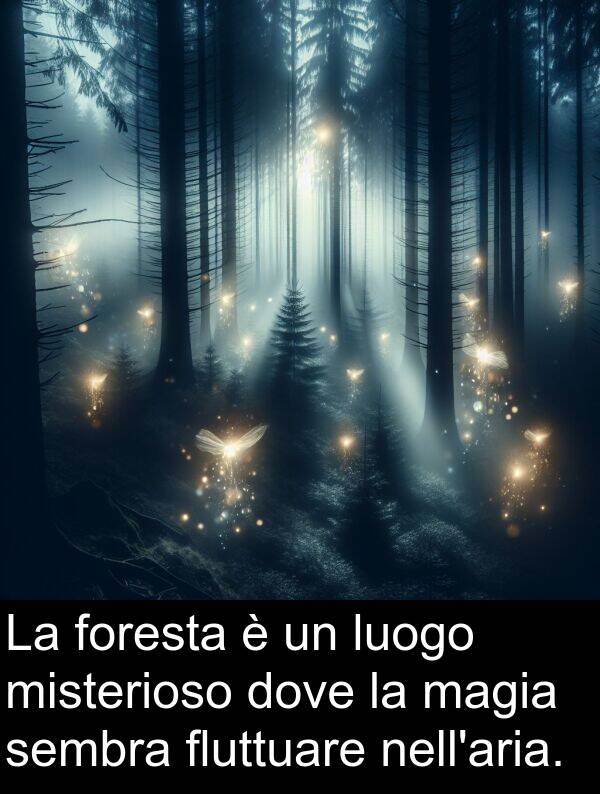 dove: La foresta è un luogo misterioso dove la magia sembra fluttuare nell'aria.