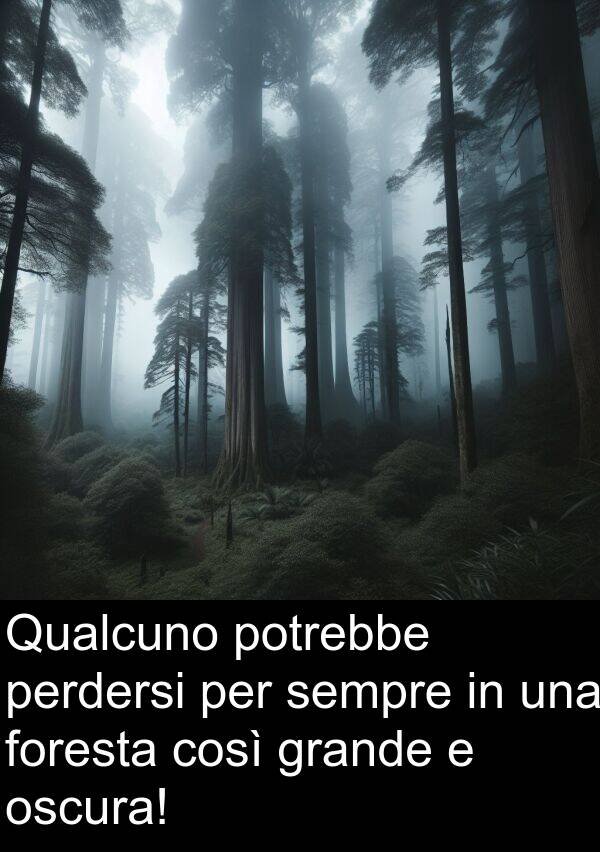 così: Qualcuno potrebbe perdersi per sempre in una foresta così grande e oscura!