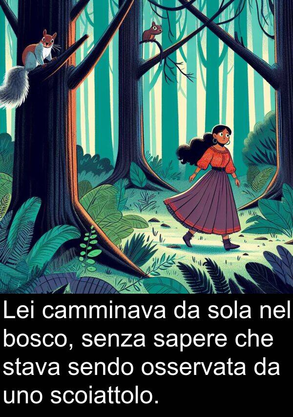 bosco: Lei camminava da sola nel bosco, senza sapere che stava sendo osservata da uno scoiattolo.