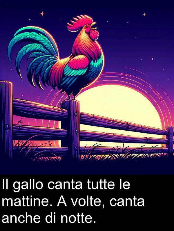 tutte: Il gallo canta tutte le mattine. A volte, canta anche di notte.