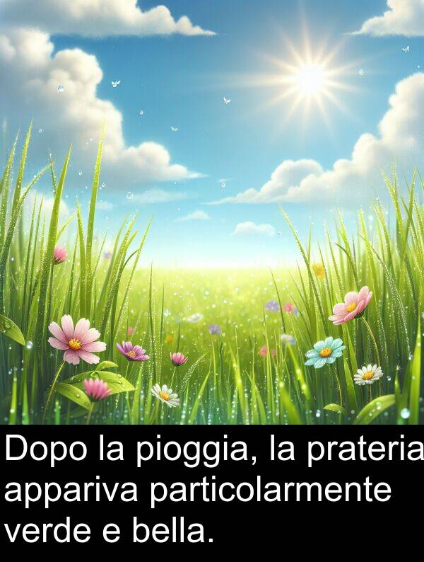 bella: Dopo la pioggia, la prateria appariva particolarmente verde e bella.