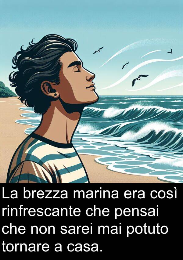potuto: La brezza marina era così rinfrescante che pensai che non sarei mai potuto tornare a casa.