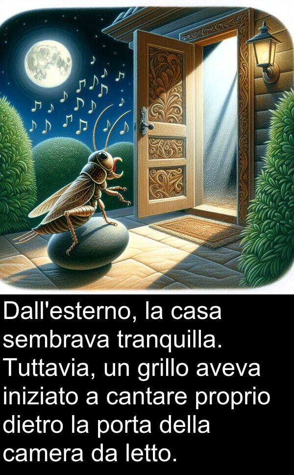 camera: Dall'esterno, la casa sembrava tranquilla. Tuttavia, un grillo aveva iniziato a cantare proprio dietro la porta della camera da letto.