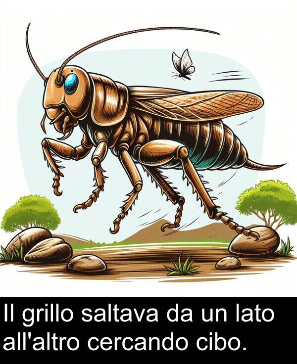 cibo: Il grillo saltava da un lato all'altro cercando cibo.