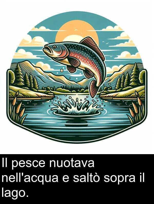 lago: Il pesce nuotava nell'acqua e saltò sopra il lago.