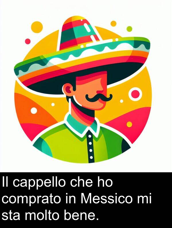 comprato: Il cappello che ho comprato in Messico mi sta molto bene.