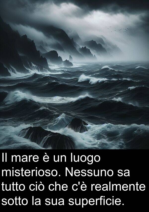 superficie: Il mare è un luogo misterioso. Nessuno sa tutto ciò che c'è realmente sotto la sua superficie.
