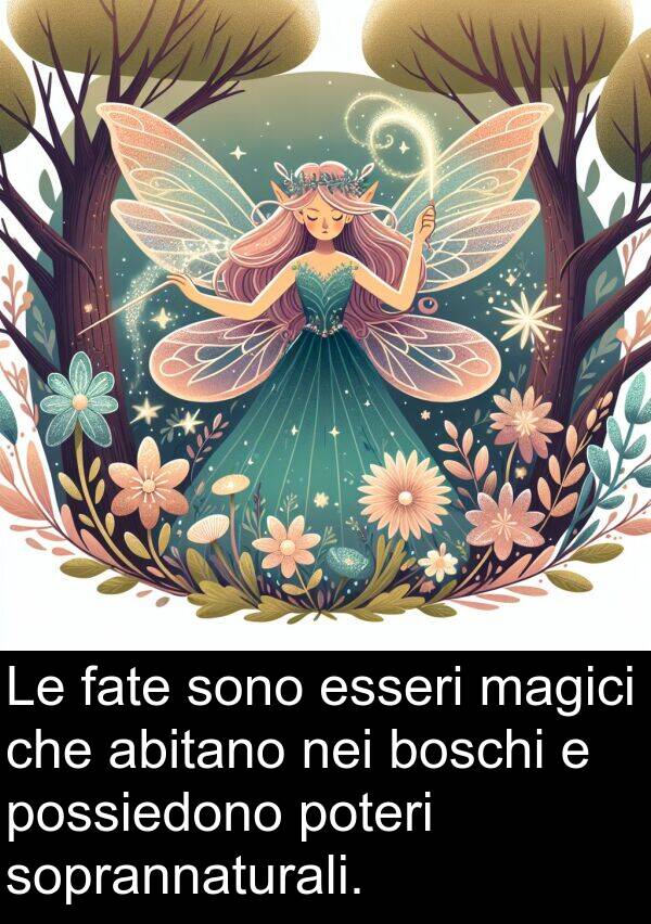 soprannaturali: Le fate sono esseri magici che abitano nei boschi e possiedono poteri soprannaturali.