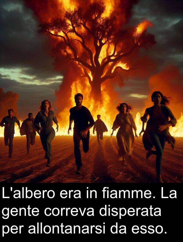 fiamme: L'albero era in fiamme. La gente correva disperata per allontanarsi da esso.