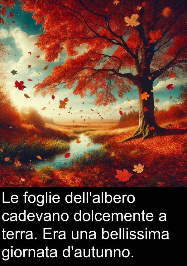 bellissima: Le foglie dell'albero cadevano dolcemente a terra. Era una bellissima giornata d'autunno.