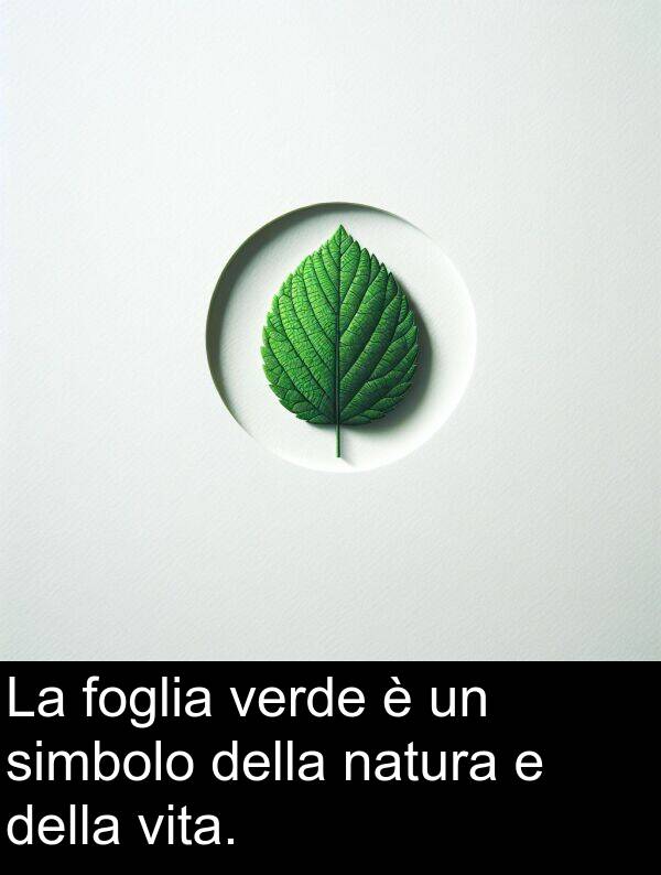 vita: La foglia verde è un simbolo della natura e della vita.