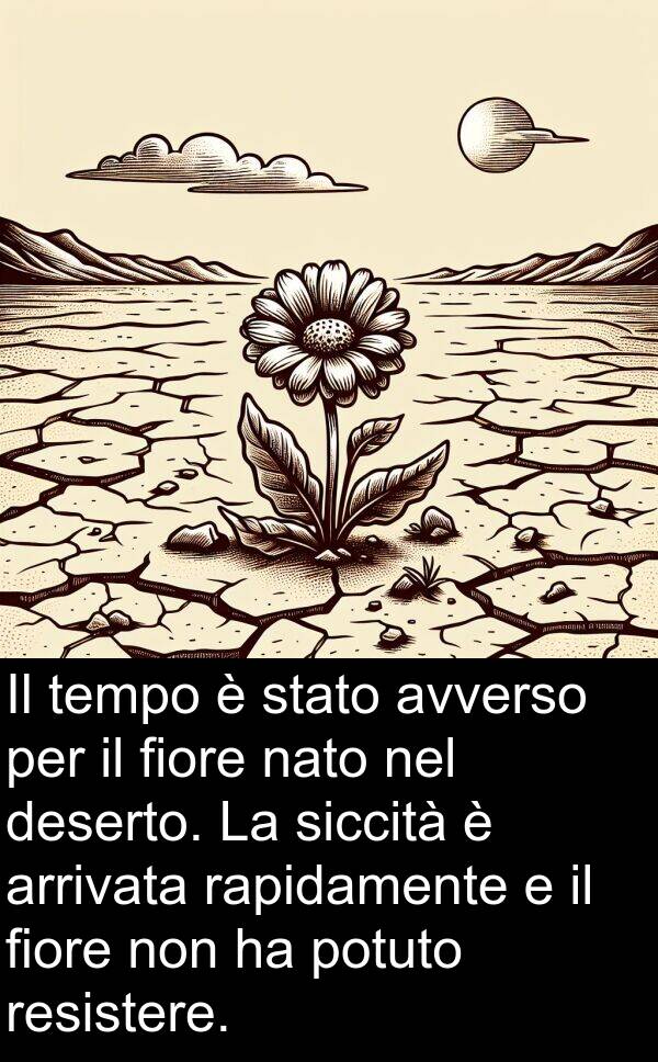 rapidamente: Il tempo è stato avverso per il fiore nato nel deserto. La siccità è arrivata rapidamente e il fiore non ha potuto resistere.