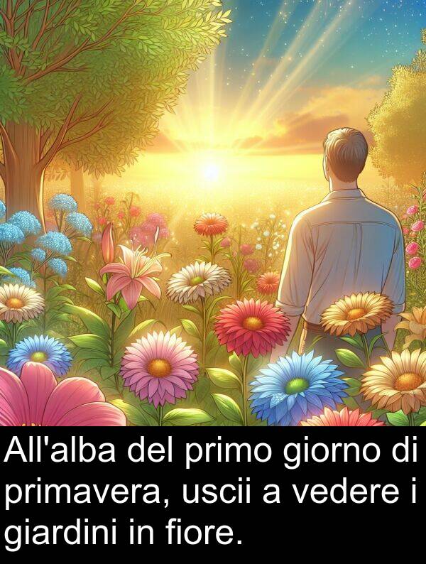 vedere: All'alba del primo giorno di primavera, uscii a vedere i giardini in fiore.