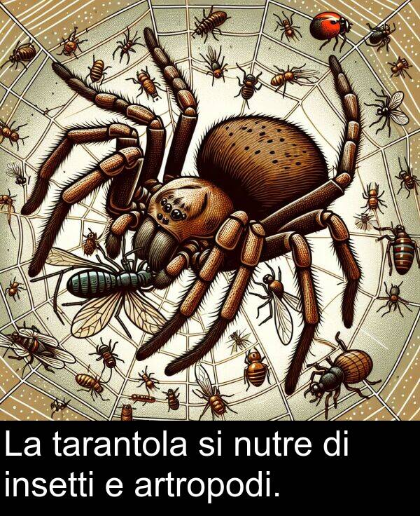 tarantola: La tarantola si nutre di insetti e artropodi.