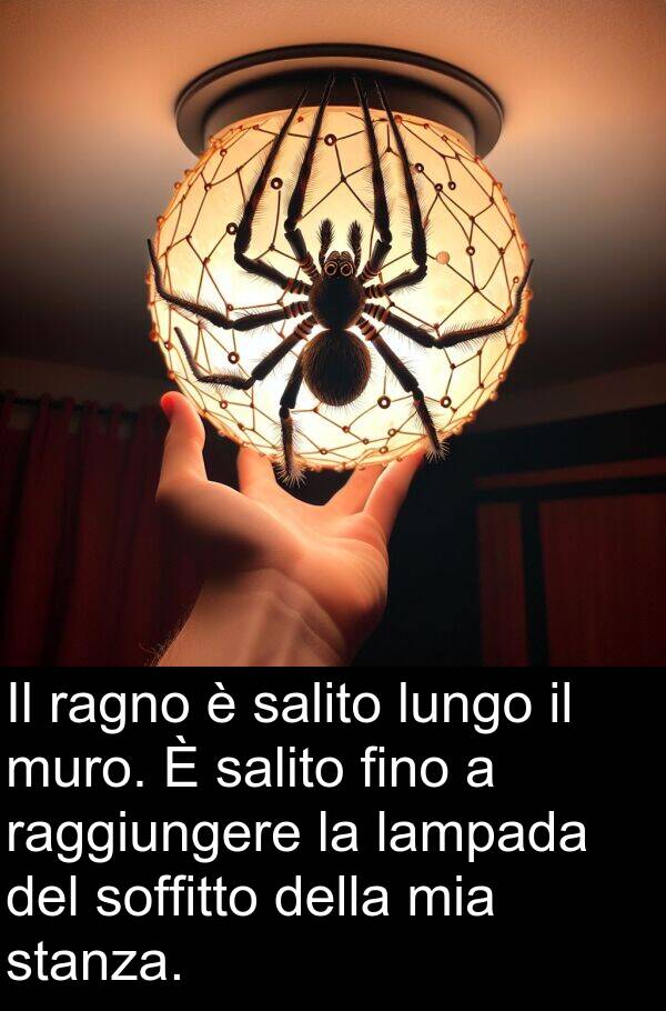 lampada: Il ragno è salito lungo il muro. È salito fino a raggiungere la lampada del soffitto della mia stanza.
