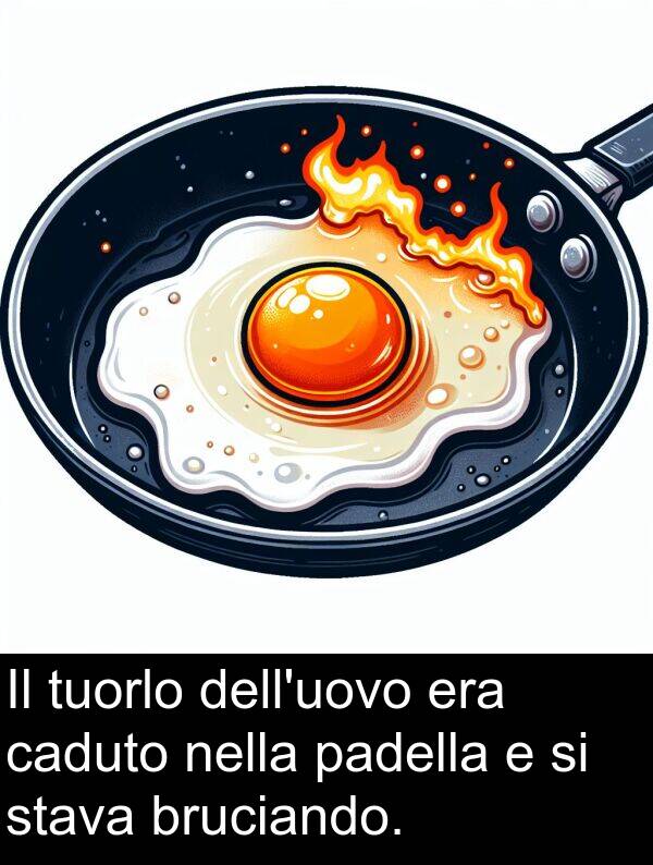 bruciando: Il tuorlo dell'uovo era caduto nella padella e si stava bruciando.