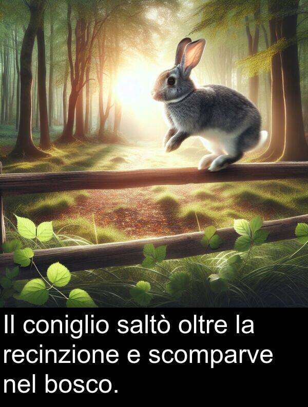 bosco: Il coniglio saltò oltre la recinzione e scomparve nel bosco.