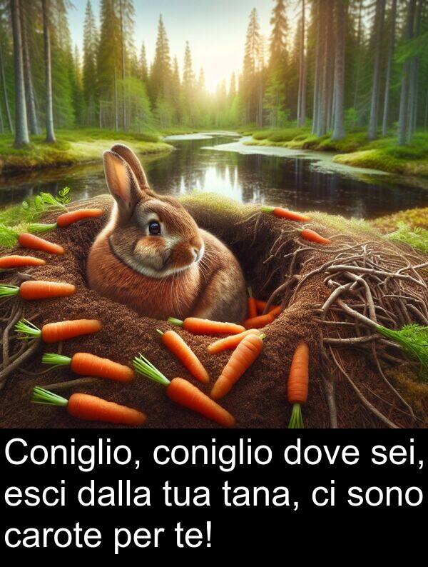 dalla: Coniglio, coniglio dove sei, esci dalla tua tana, ci sono carote per te!