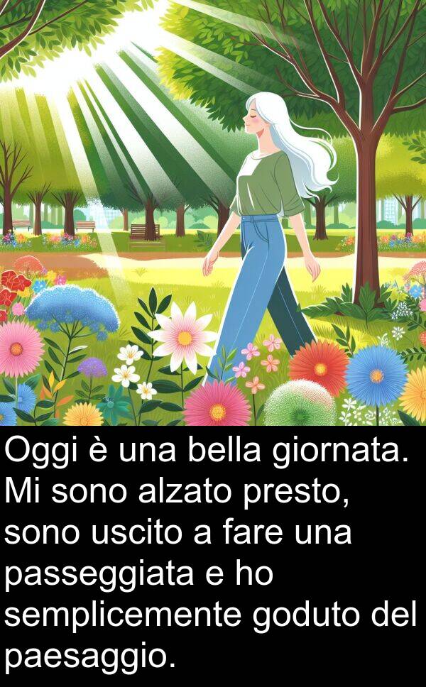 uscito: Oggi è una bella giornata. Mi sono alzato presto, sono uscito a fare una passeggiata e ho semplicemente goduto del paesaggio.