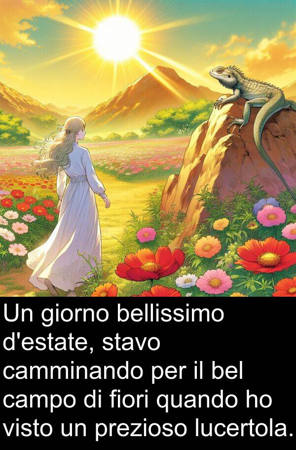 bel: Un giorno bellissimo d'estate, stavo camminando per il bel campo di fiori quando ho visto un prezioso lucertola.
