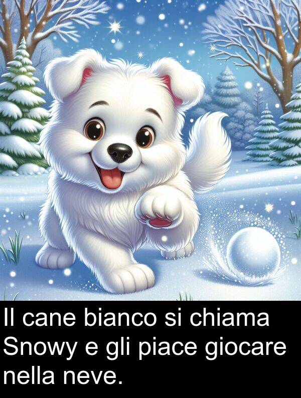 cane: Il cane bianco si chiama Snowy e gli piace giocare nella neve.
