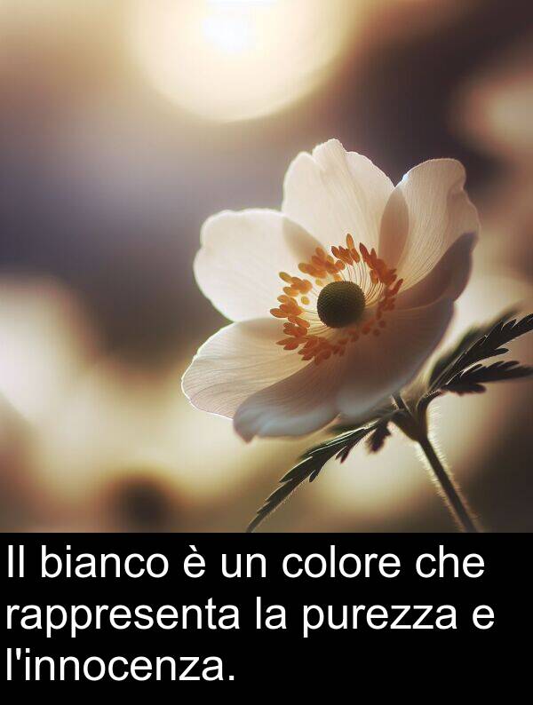 colore: Il bianco è un colore che rappresenta la purezza e l'innocenza.