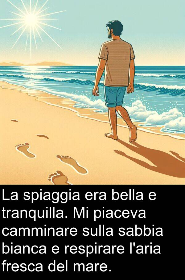 bianca: La spiaggia era bella e tranquilla. Mi piaceva camminare sulla sabbia bianca e respirare l'aria fresca del mare.