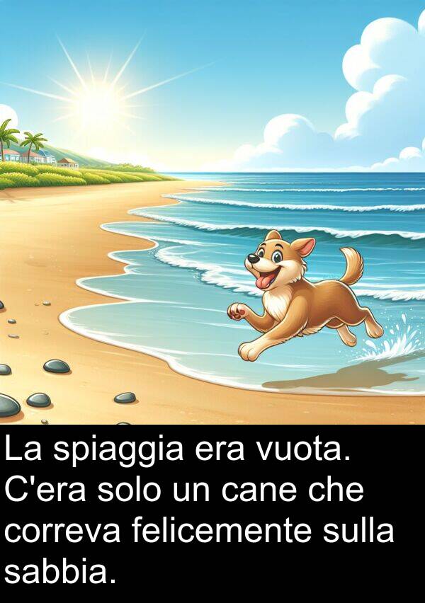 cane: La spiaggia era vuota. C'era solo un cane che correva felicemente sulla sabbia.