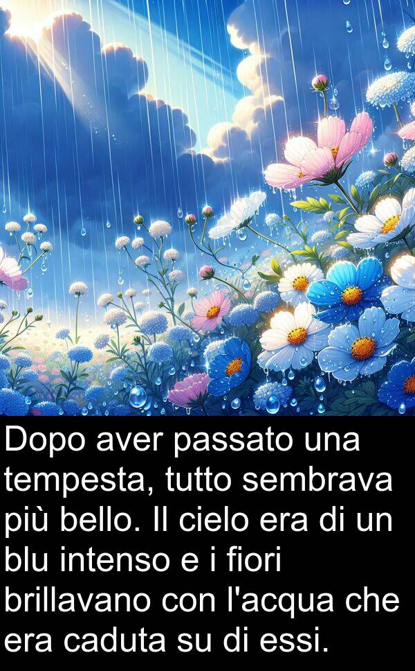 passato: Dopo aver passato una tempesta, tutto sembrava più bello. Il cielo era di un blu intenso e i fiori brillavano con l'acqua che era caduta su di essi.