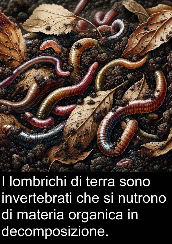organica: I lombrichi di terra sono invertebrati che si nutrono di materia organica in decomposizione.