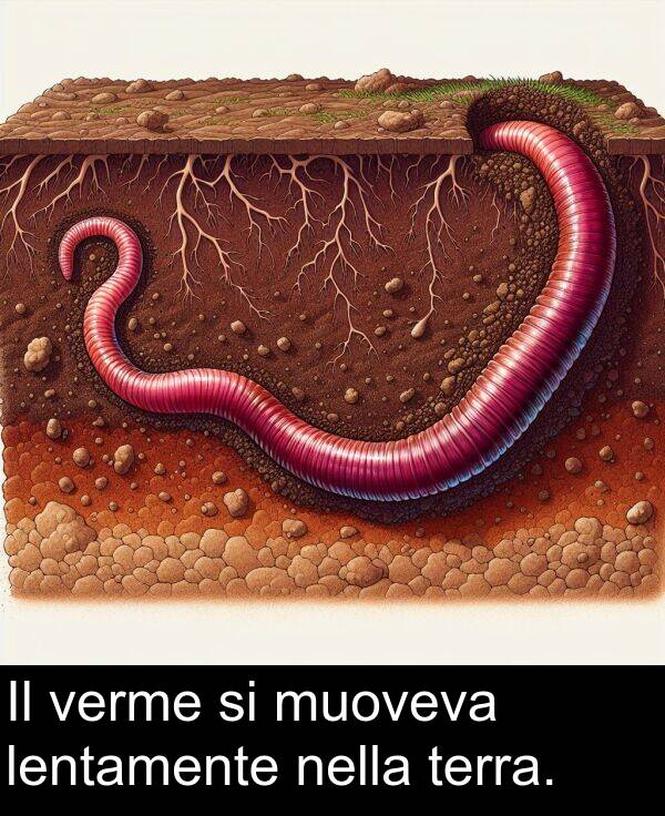 nella: Il verme si muoveva lentamente nella terra.
