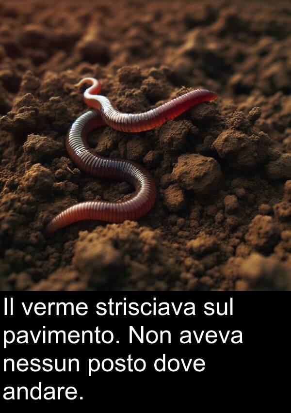 strisciava: Il verme strisciava sul pavimento. Non aveva nessun posto dove andare.